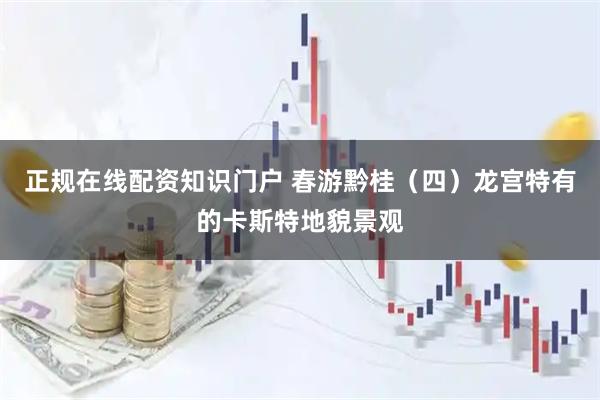 正规在线配资知识门户 春游黔桂(四)龙宫特有的卡斯特地貌景观